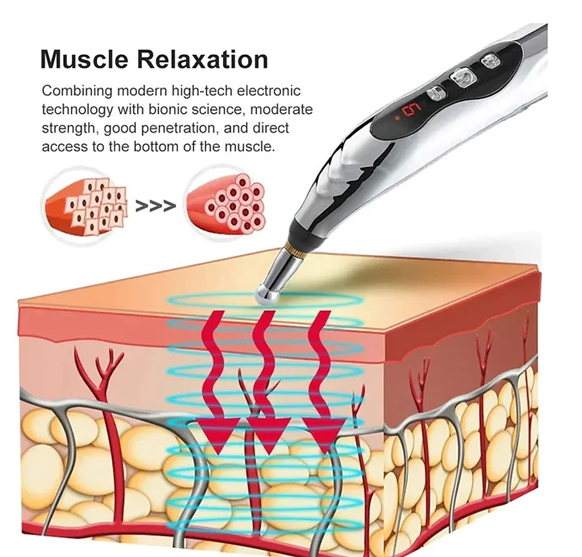 Pulse penetrating muscle tissue