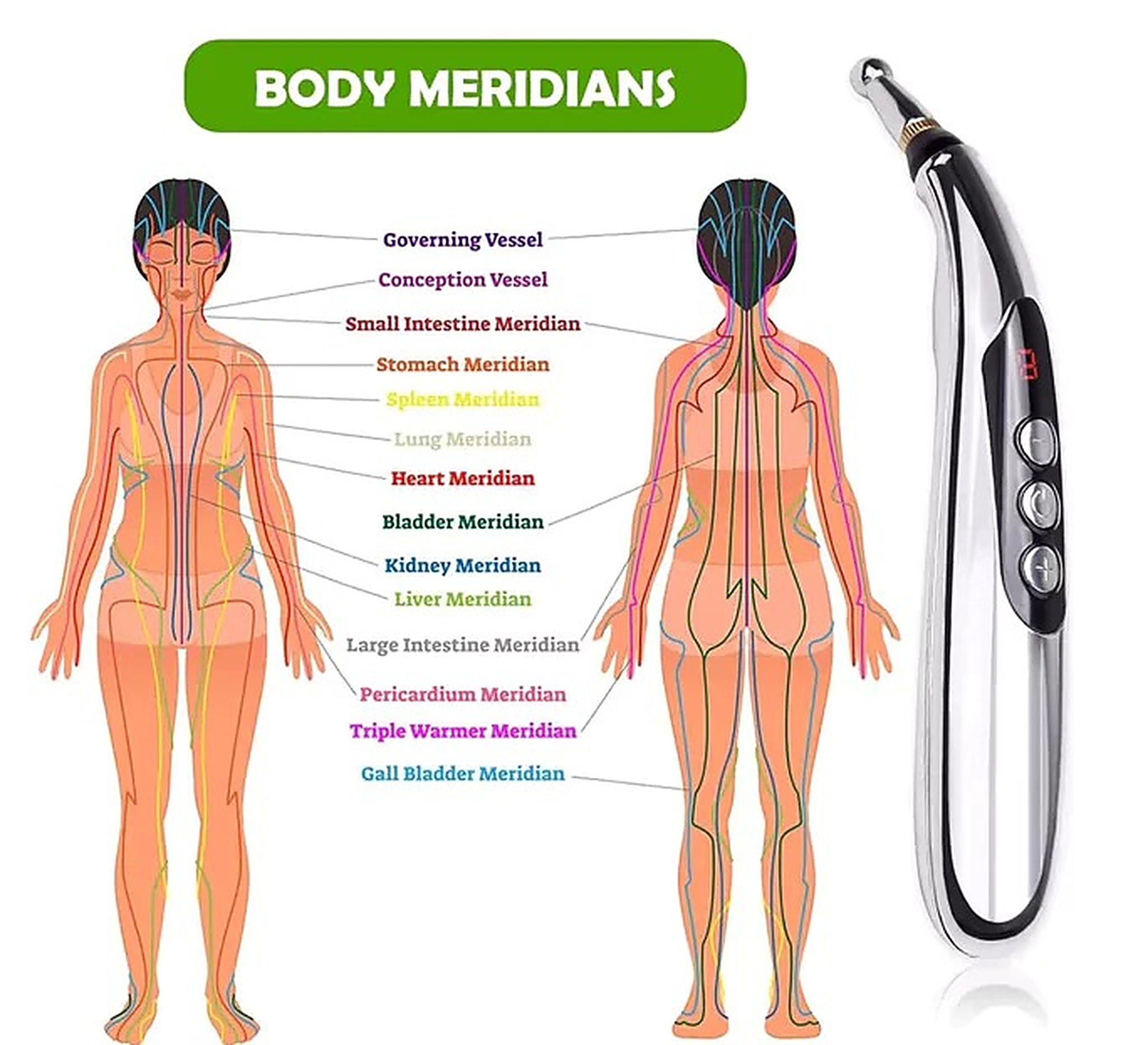 Body meridians reference chart